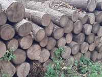 Drewno opałowe Jesion