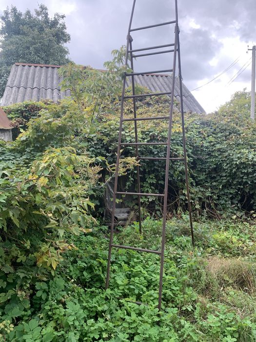 Лестница около 3 метров