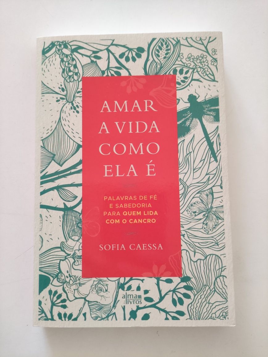 Vendo livro " Amar a Vida Como Ela É "