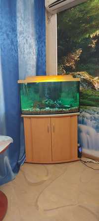 Продається акваріум з рибками