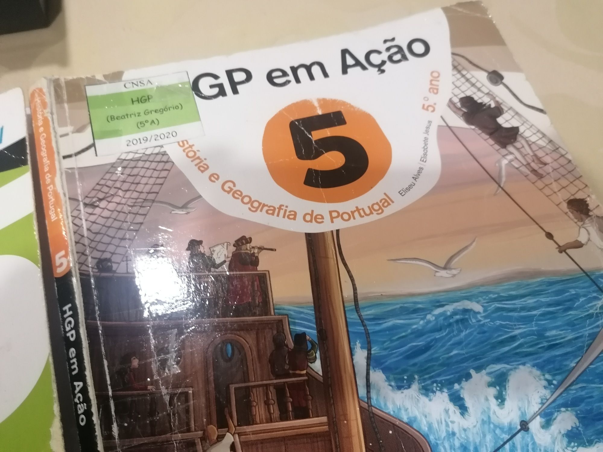 Manuais do 5 ano