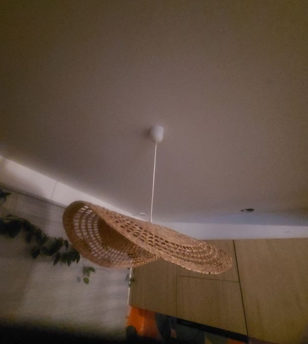 Klosz bambus trawa morska 60 cm+ drugi gratis