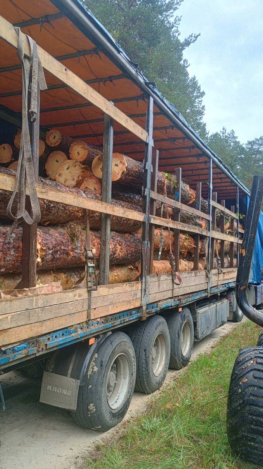 Кругляк сосна з доставкою