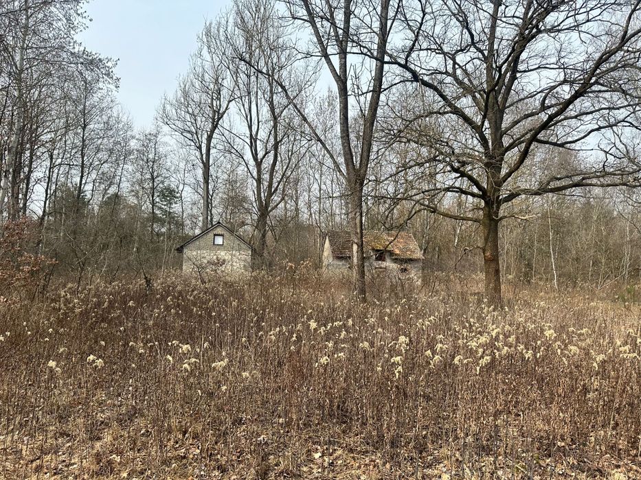 Działka   Gornowola 41 arów