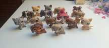 Lps popy na sztuki