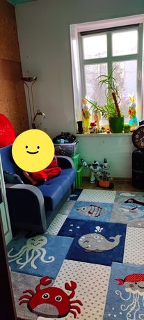 Dwuosobowa sofa rozkładana