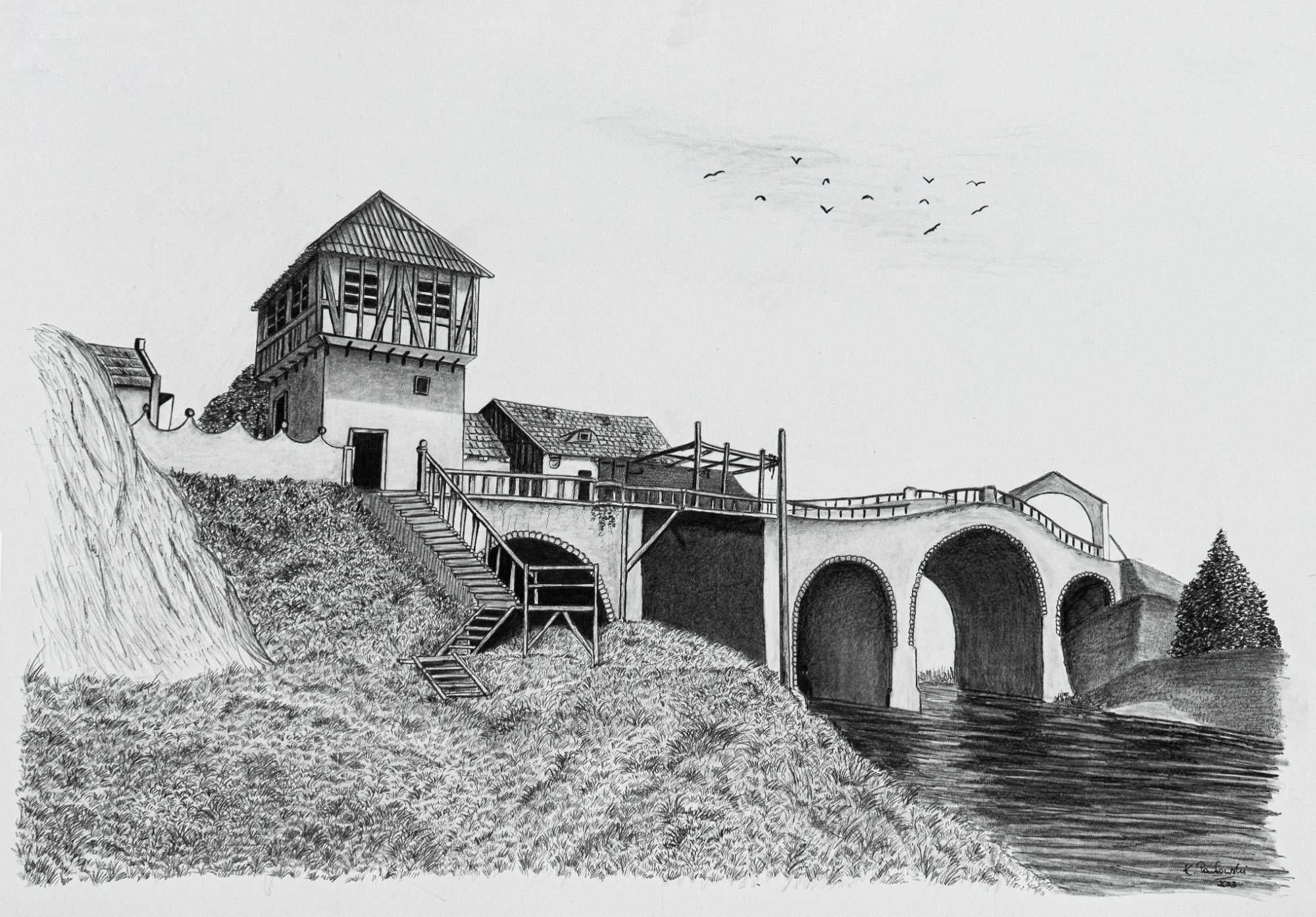 Rysunek Wiedźmin - Touissant 50x70 cm