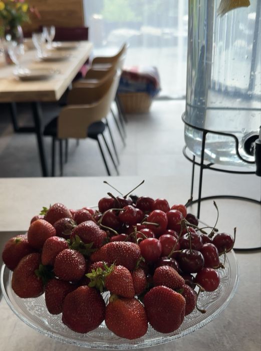 Подобова оренда будинок,дом,котедж,бесідка,чан,джакузі,домик,а фрейм