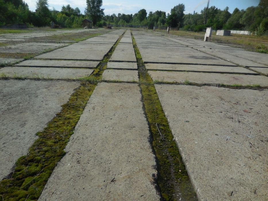 Ексклюзив! Продам ділянку бази під ЕЛЕВАТОР спг Жавинка,