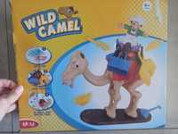 Wild camel 4 lata wielbłąd