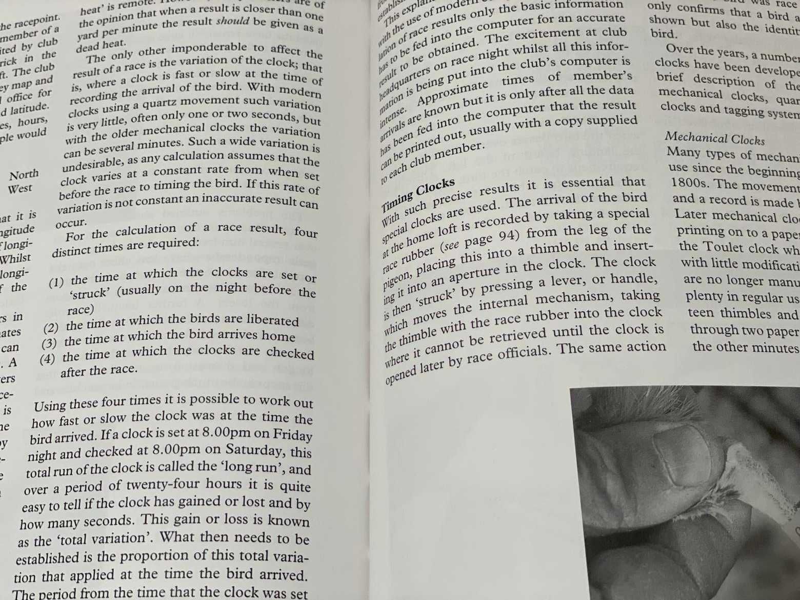 Livro de columbofilia " Racing Pigeons" de 1999
