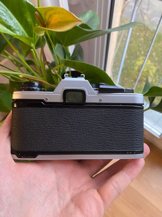 Olympus OM10 - sprawny i zadbany