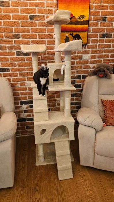 drapak dla kota wysoki 170 cm domek zabawki legowisko czarny - Nowy