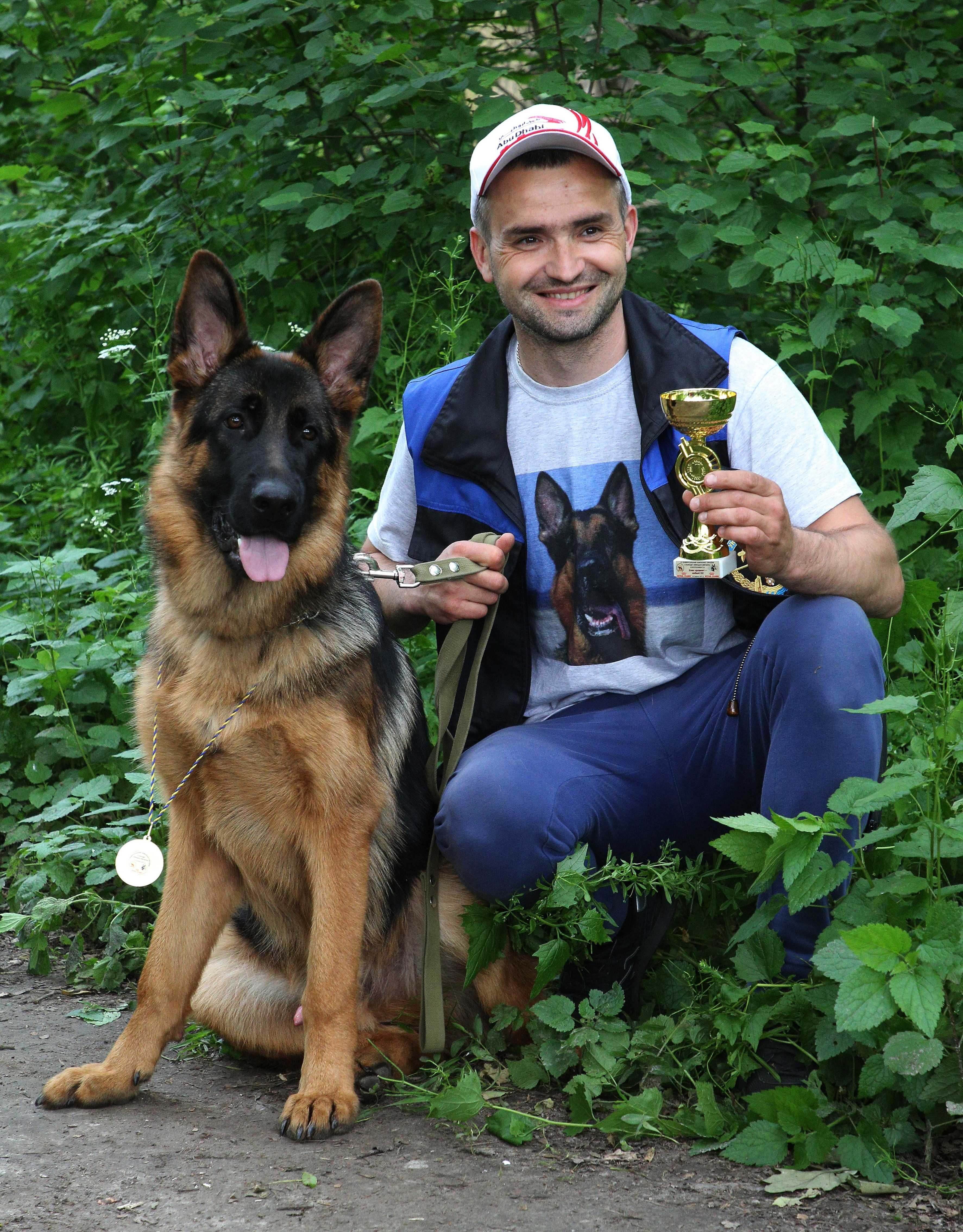 Німецька вівчарка.