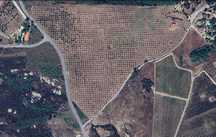Quinta de 10 Hectares de Olival