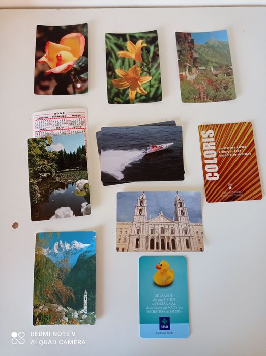 Coleção de calendários de bolso