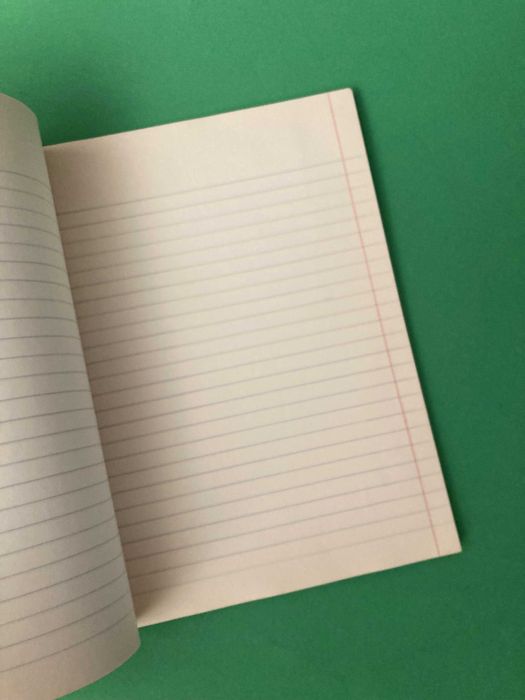 Raro Caderno Diário Escolar Ensino Secundário Anos 60