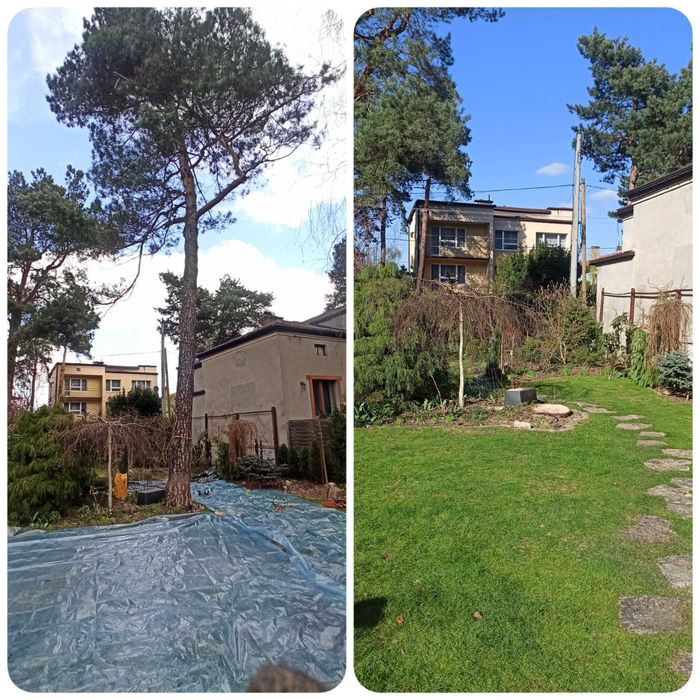 Wycinka i pielęgnacja drzew, ogrodnik, odśnieżanie dachów, frezowanie