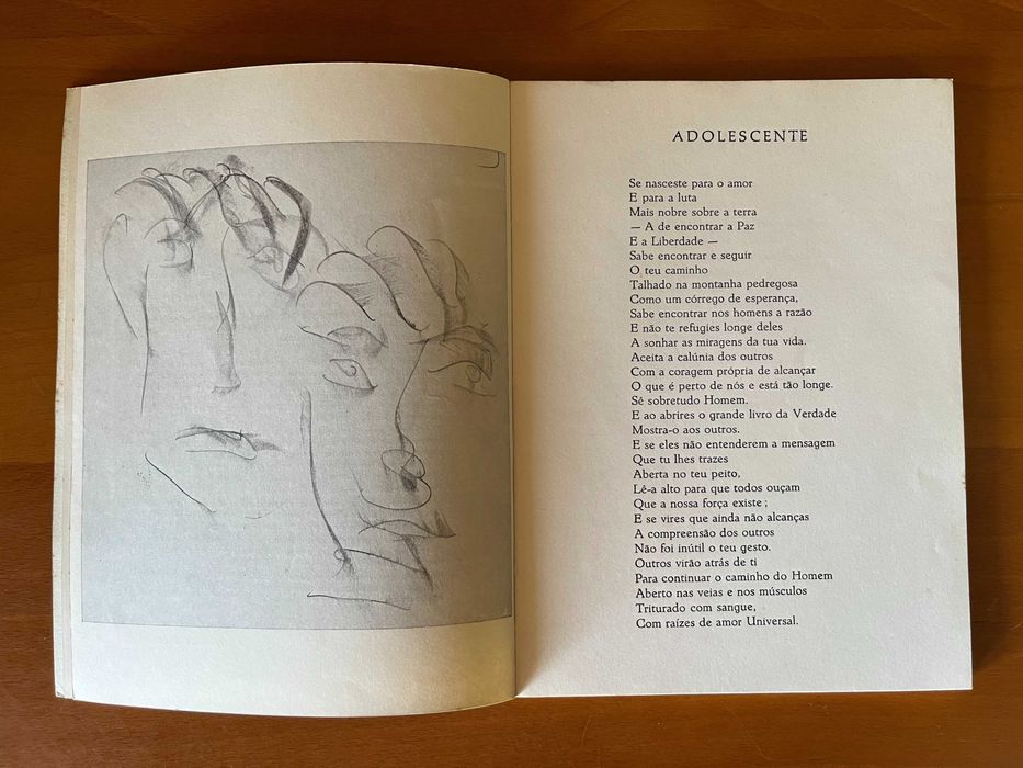 Novo rumo – Fernando Moniz Lopes