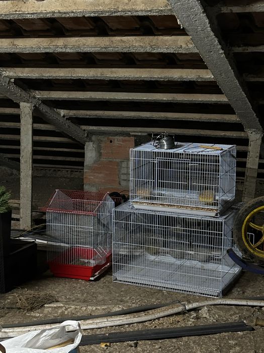 Gaiolas vários tamanhos