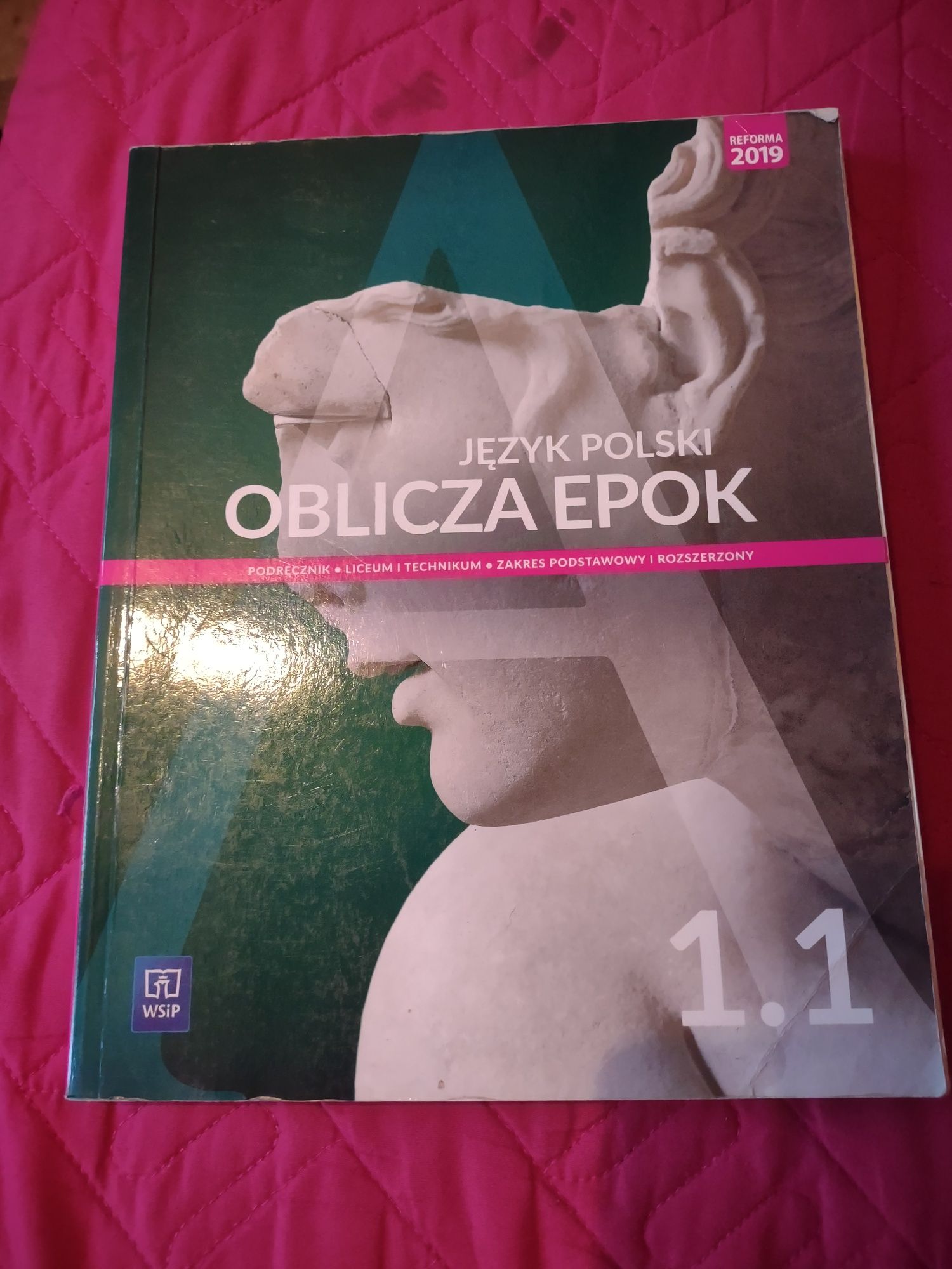 Oblicza epok WSiP