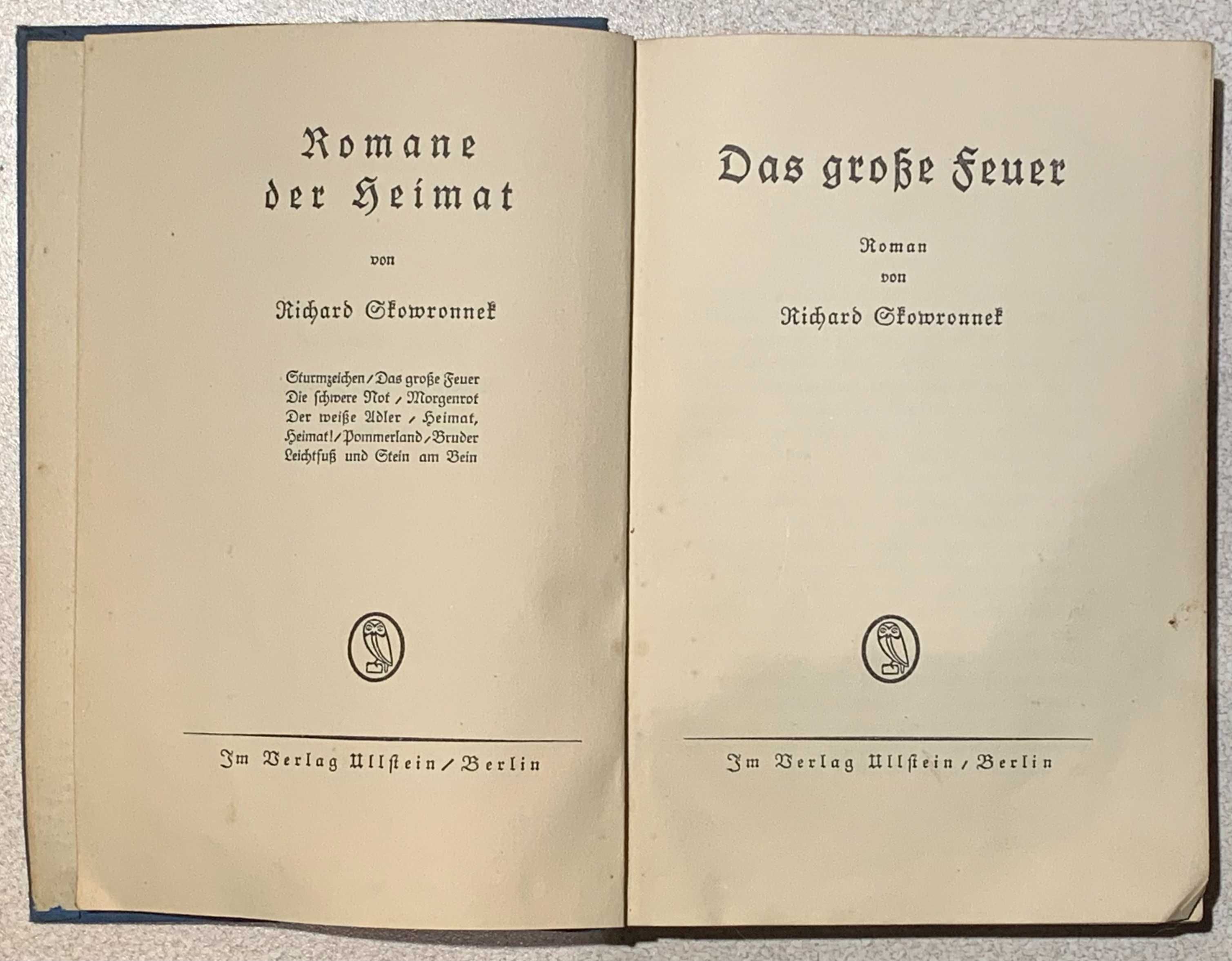 Das große Feuer | Richard Skowronnek | 1915 | Ullstein