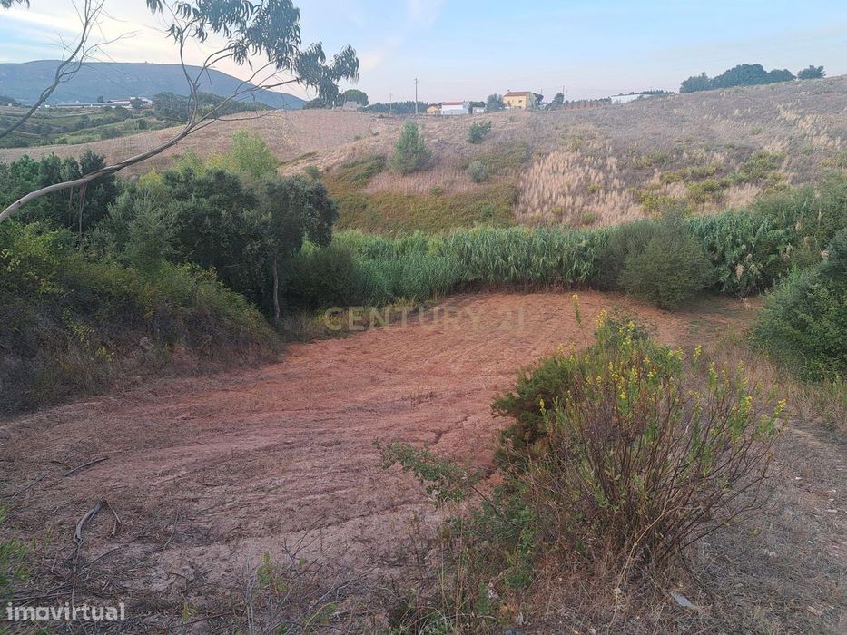 Terreno Rústico em Olhalvo, Alenquer - Oportunidade Única
