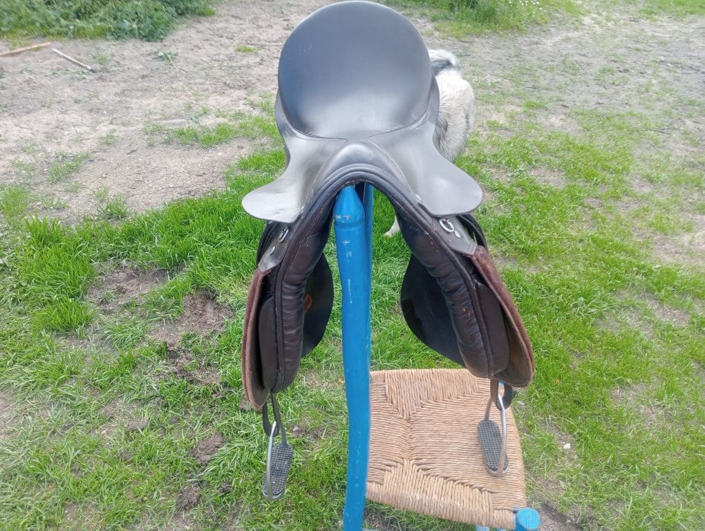 Cavalo, égua,poldro