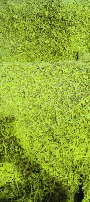 Trociny dąb,buk,świerk,mix worki 400L