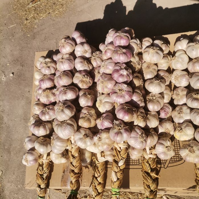 Wianek, warkocz, 3x20