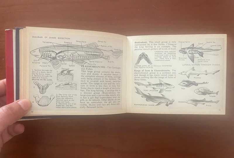 The Dumpy Pocket Book for Biologists