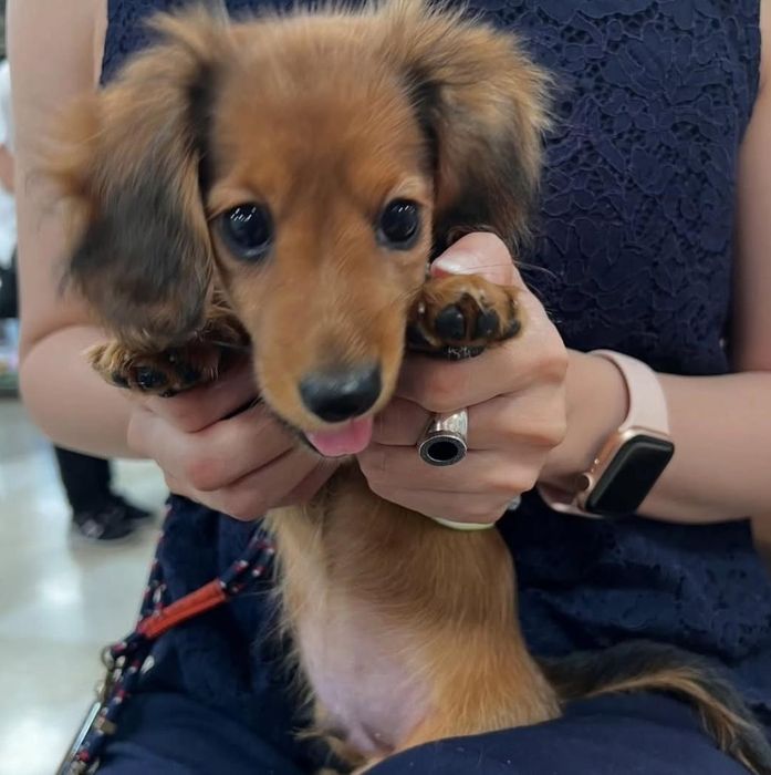 Дитина з хорошим люблячим характером.