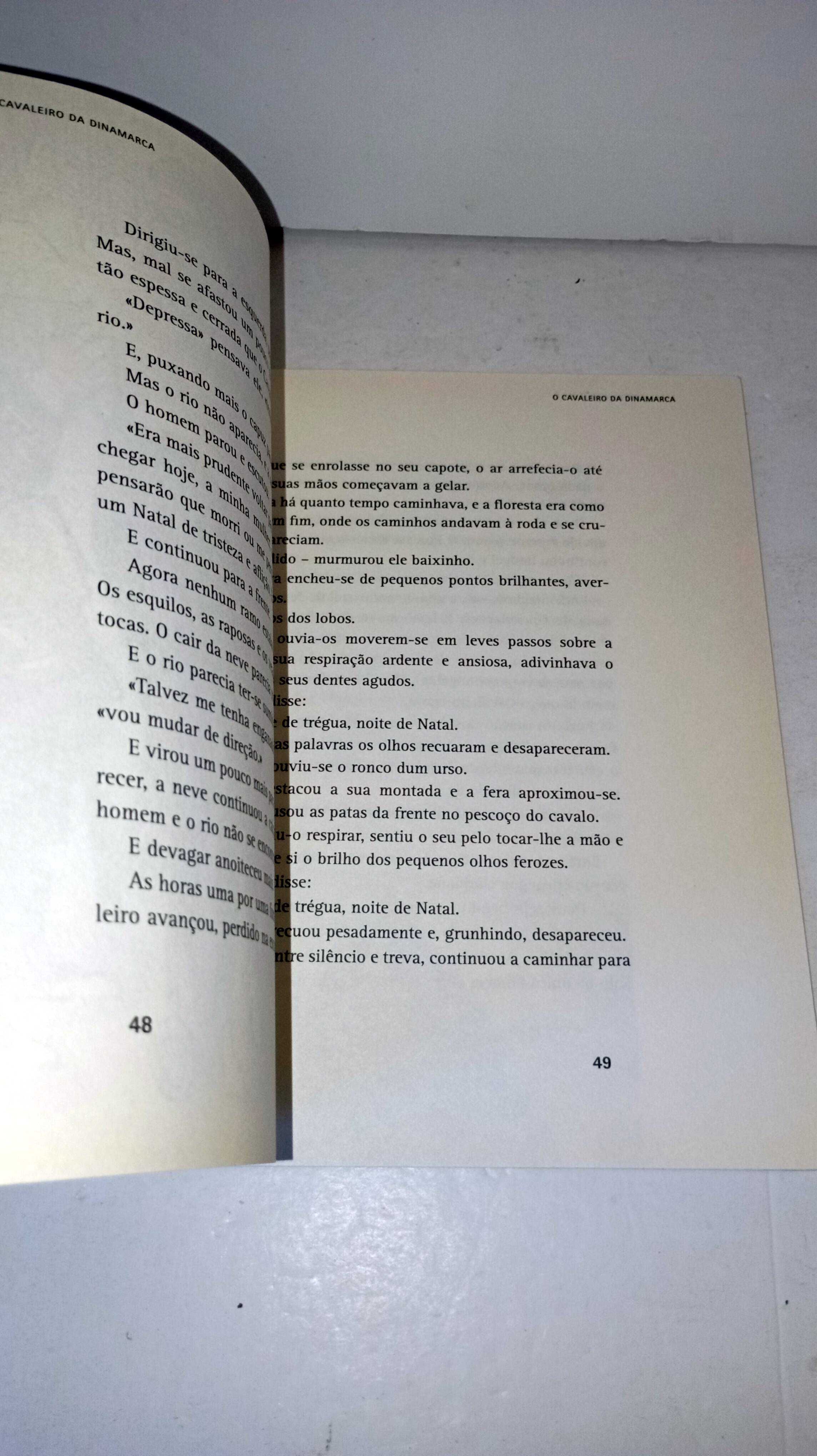 O Cavaleiro da Dinamarca