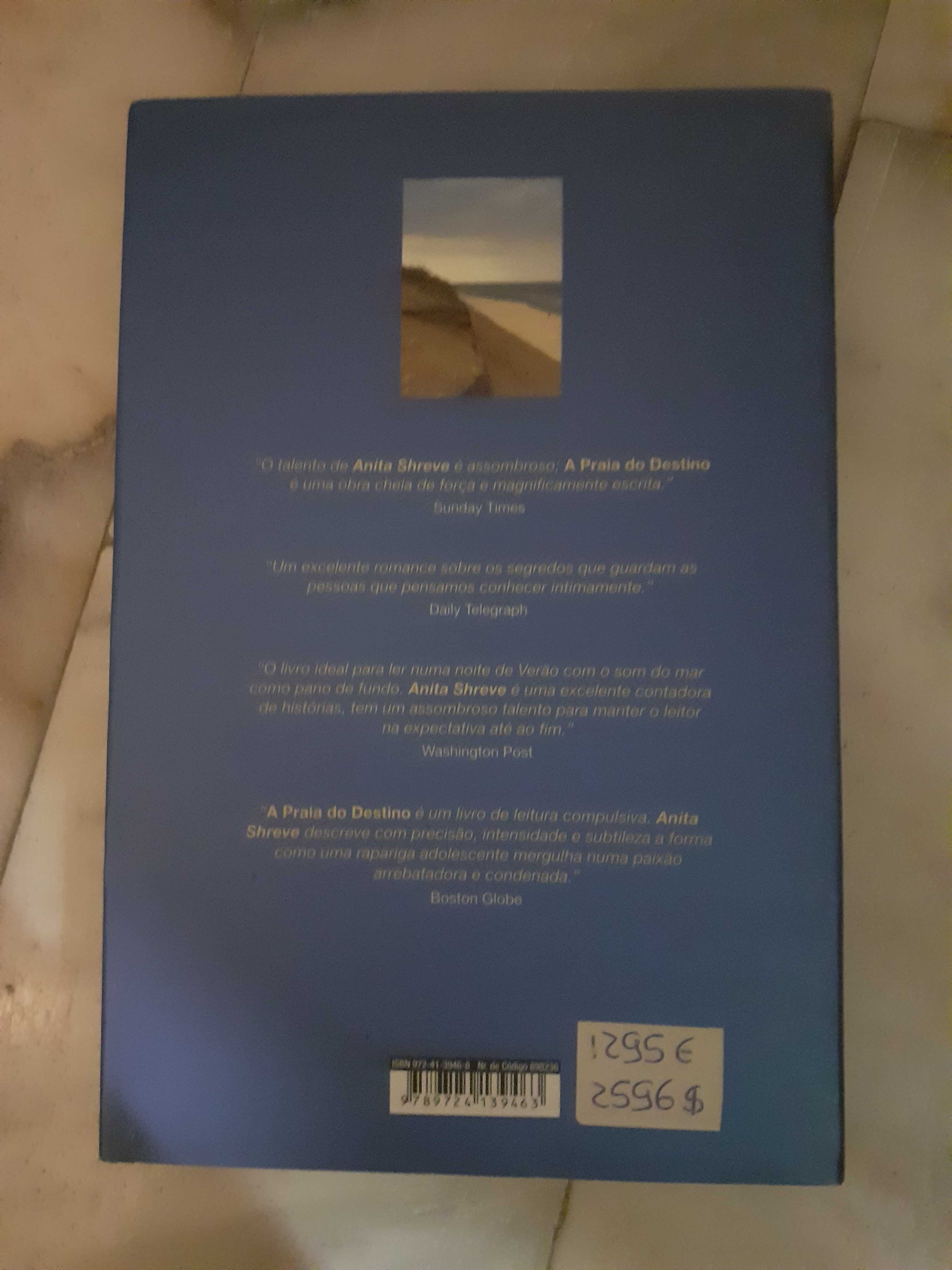 A Praia do Destino (Anita Shreve)