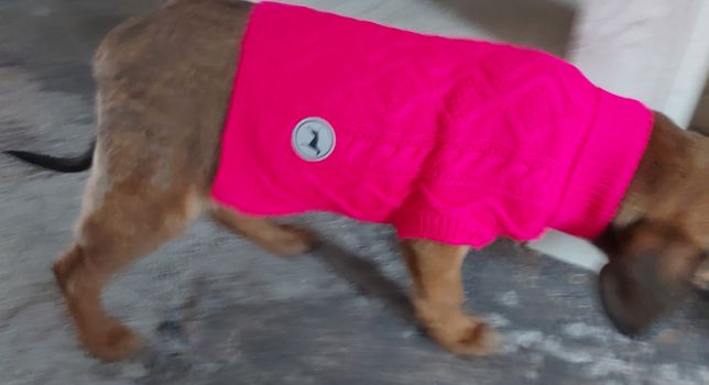Sweterek dla psa roz.S różowy z odblaskiem