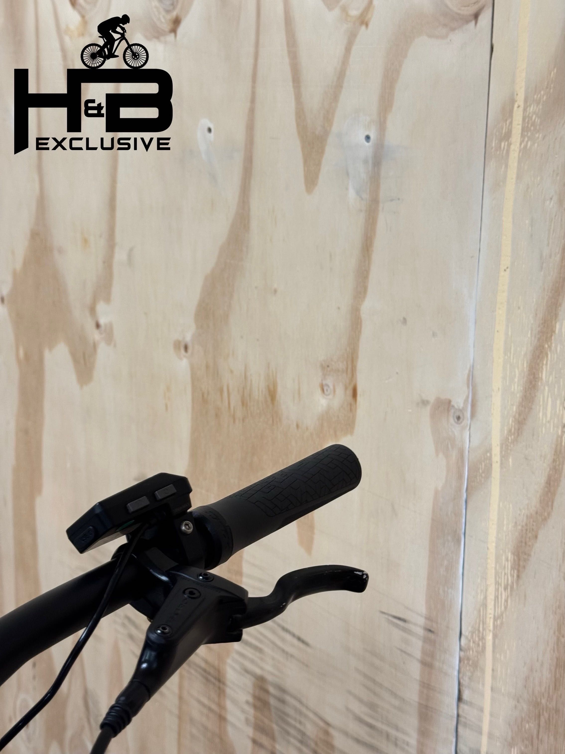 Giant Liv Tempt E+ EX Shimano Alivio 2021