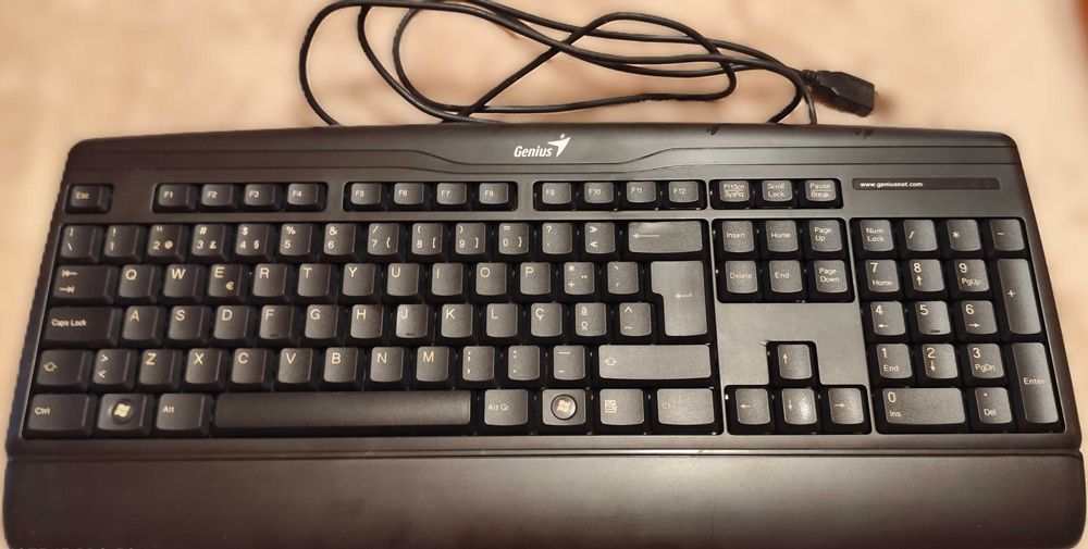 Teclado Genius KB-120