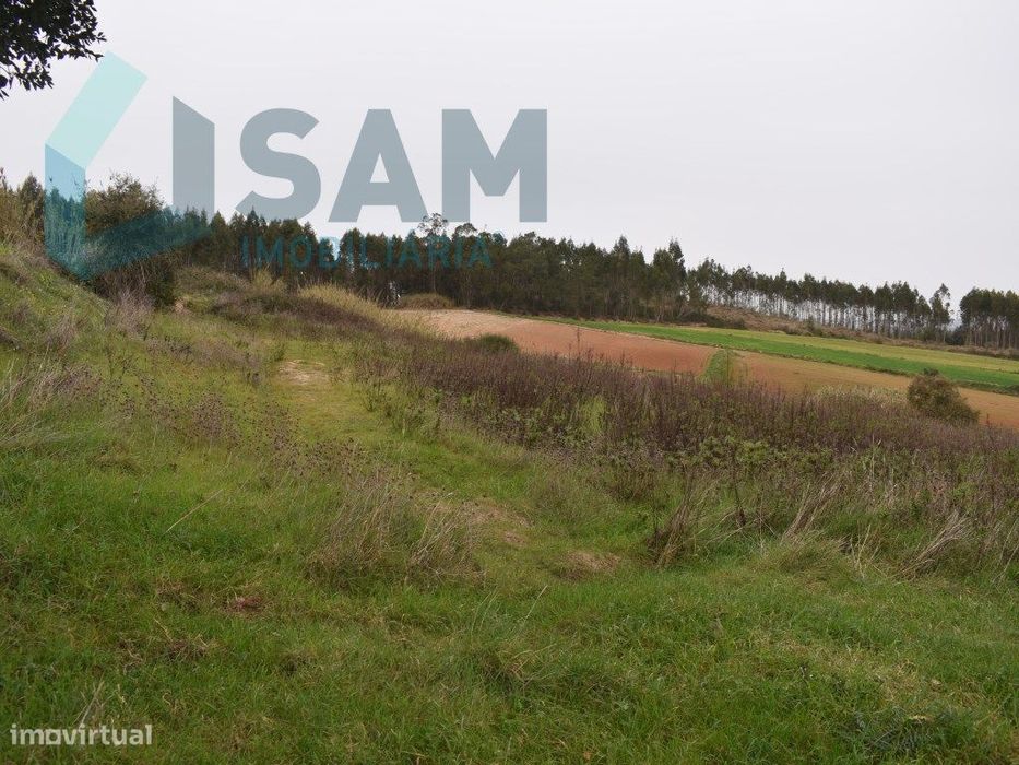 Terreno Rústico