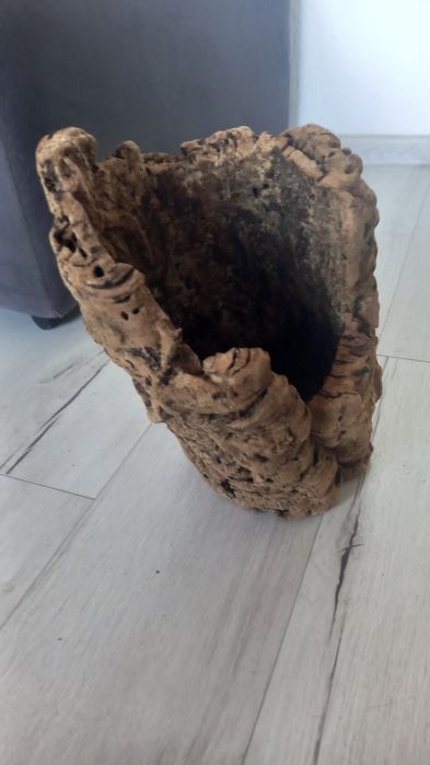 Pień drewno do terrarium