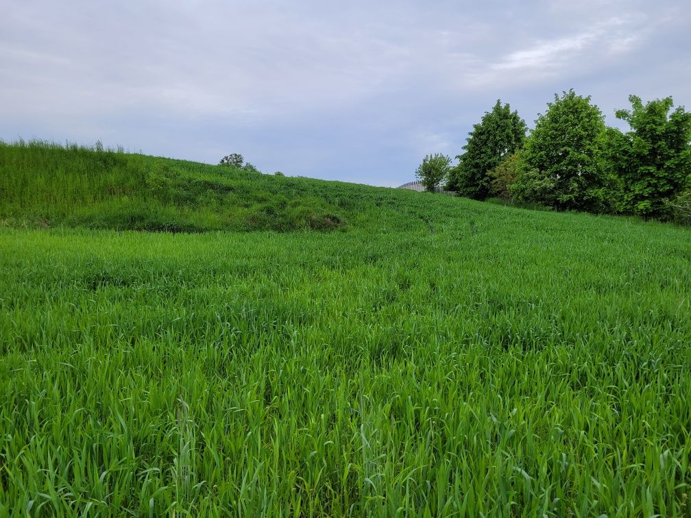 Grudziądz. Działki  1000 m2 z Warunkami Zabudowy