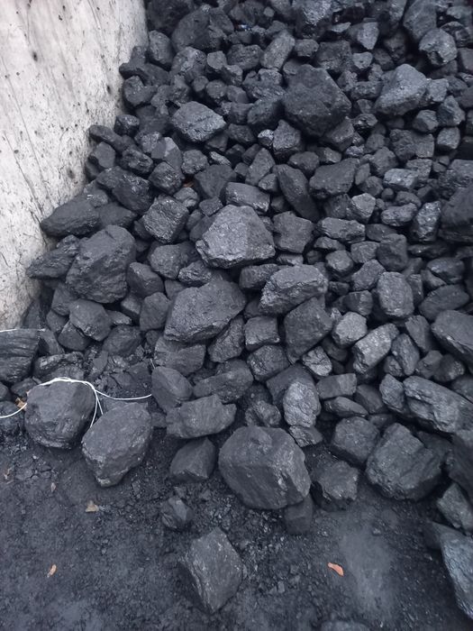 Wegiel orzech ekogroszek pieklorz