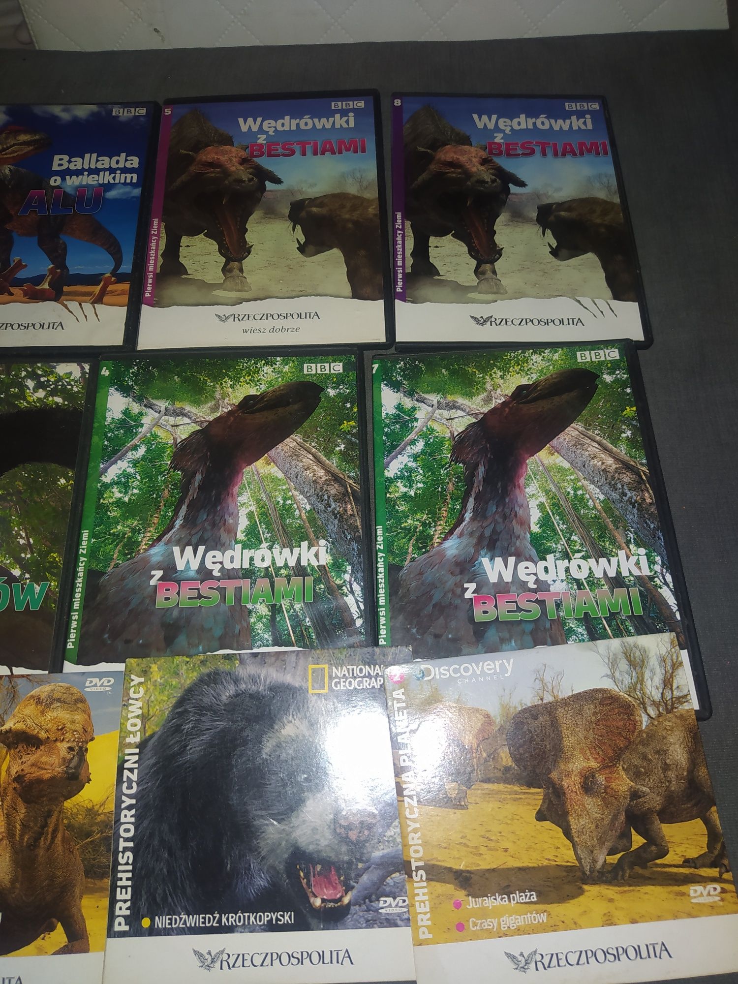 Płyty DVD o dinozaurach (12 sztuk  zestaw)