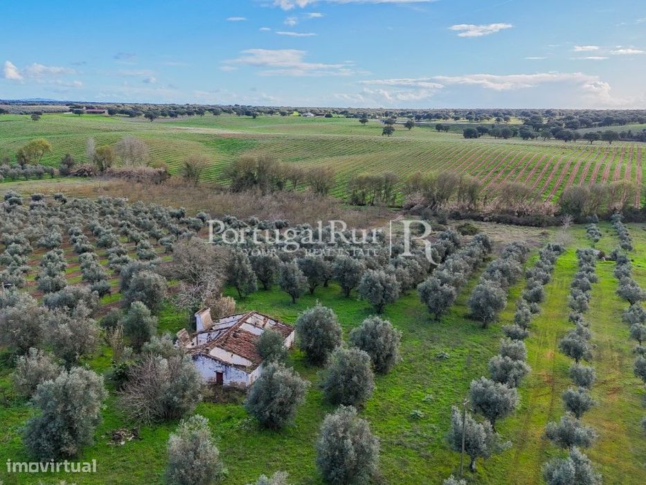 Propriedade com 1,5 ha e casa para recuperar no Alentejo