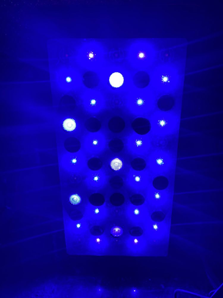 Vendo ou troco 2 Iluminação de aquário de agua salgada