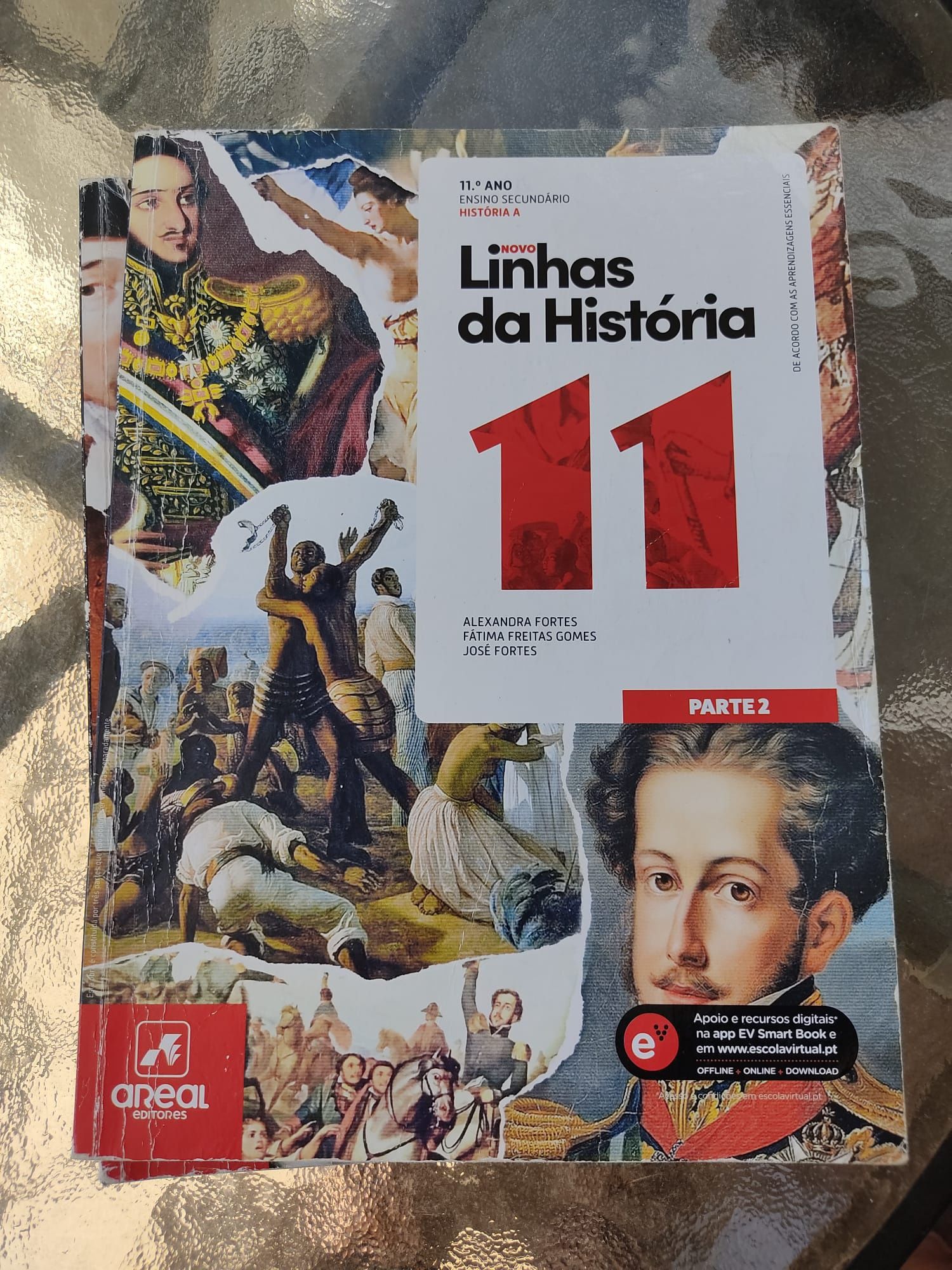 Manuais 11 ano história A