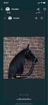 Nowy konik hobby horse