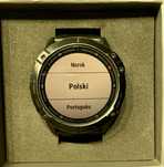 Garmin Fenix 6X PRO