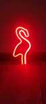 Nowy         neon
