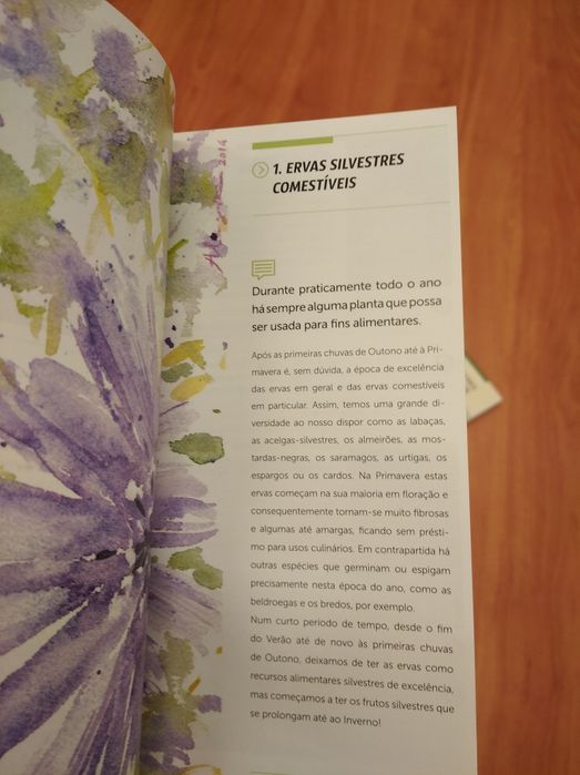 2 Guias práticos "Ervas silvestres" e "Frutos silvestres comestíveis "