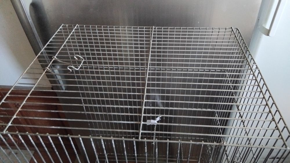 Клітка без поддону, для птахів